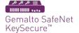 Gemalto SafeNet KeySecure Certified Engineer logo