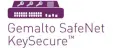 Gemalto SafeNet KeySecure Certified Engineer logo